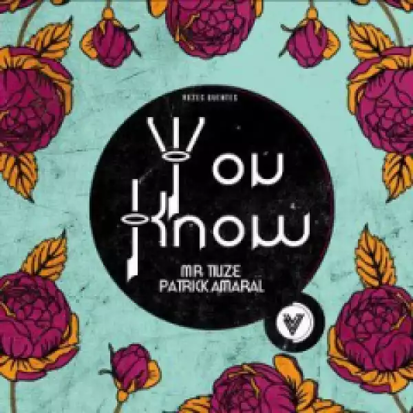 Mr. Tiuze - You Know (Original Mix) Ft. Patrick Amaral